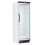 ARMARIO EXPOSITOR CONGELADOS ACE 451-C EDENOX